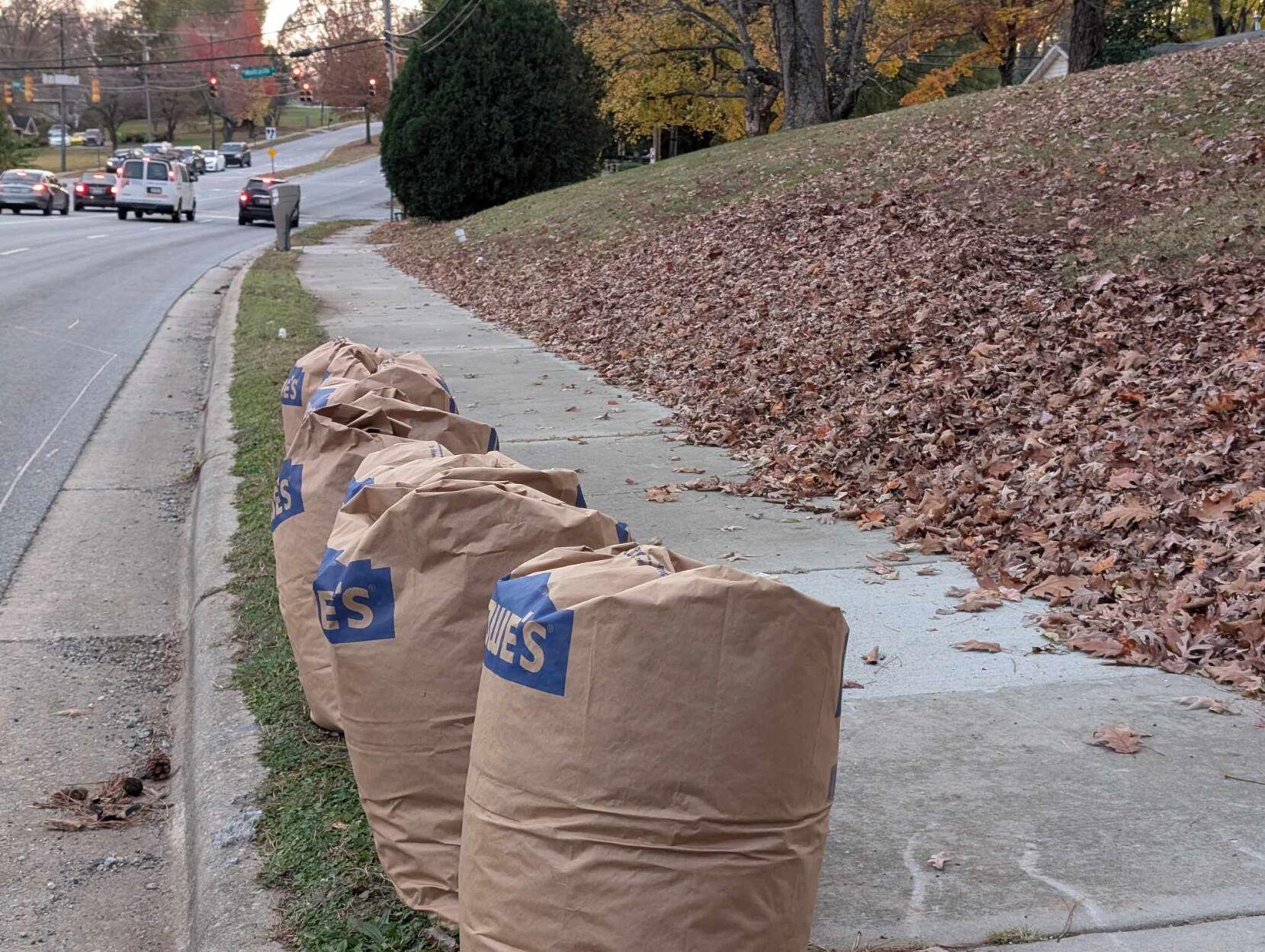 A vibrant autumn scene showcasing leaf collection: a suburban neighborhood street lined with colorful trees in shades of red, orange, and yellow. A worker in a reflective vest operates a leaf vacuum truck, efficiently clearing large piles of fallen leaves along the curb. Nearby, a homeowner in casual clothes rakes leaves into a paper bag, while another resident places a filled bag beside a city-issued 95-gallon container. The warm afternoon sunlight casts long shadows, highlighting the community's effort to manage seasonal yard waste. The image captures the blend of tradition and modernity in leaf disposal practices.