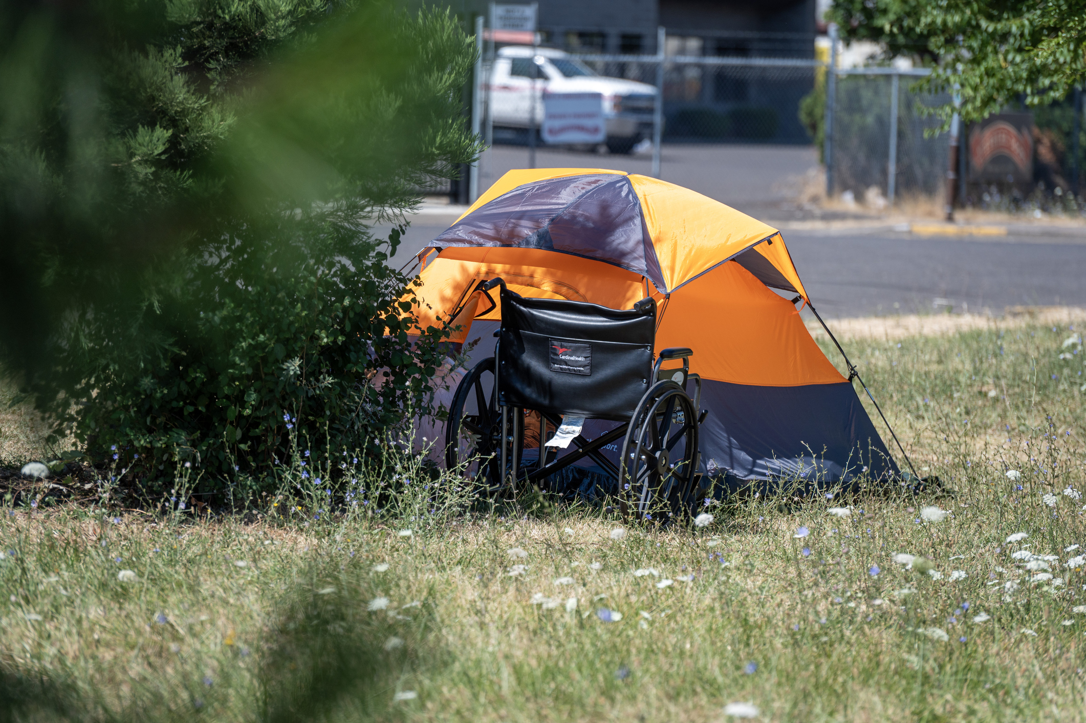 A homeless person has their tent setup on a grassy area