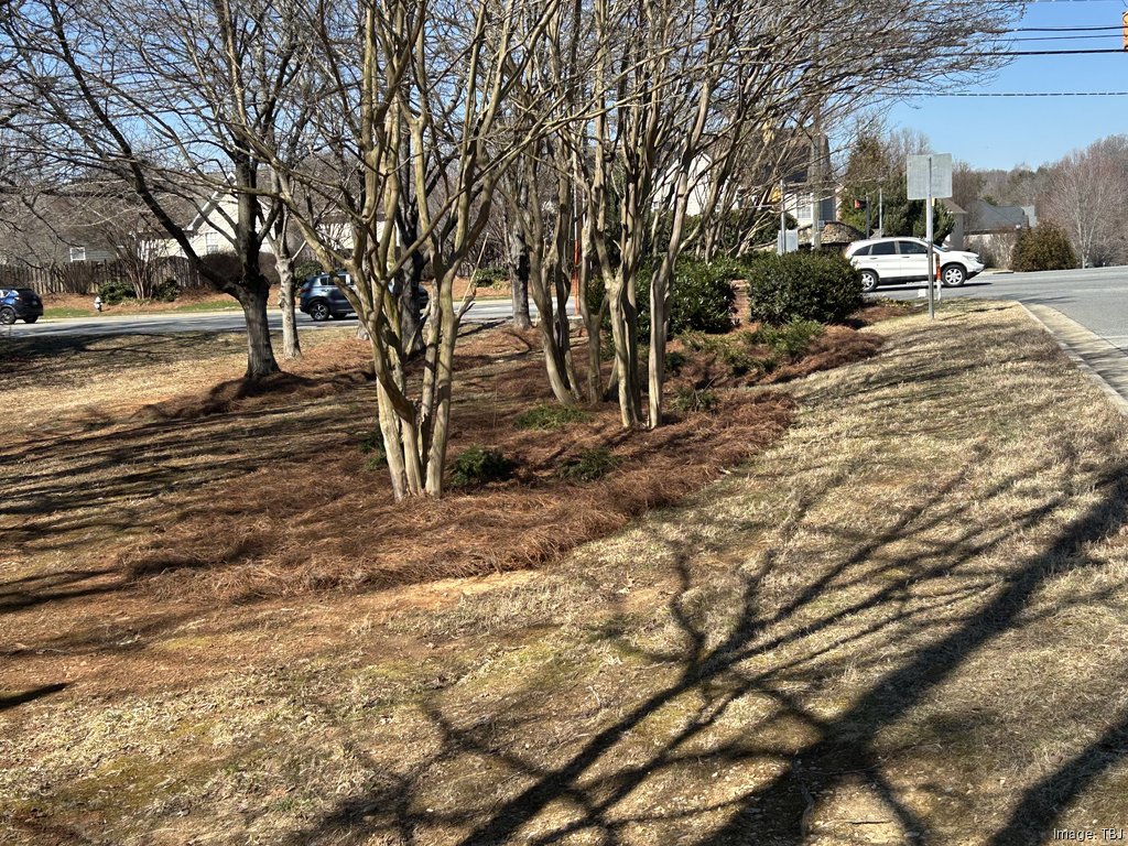 The site of a proposed townhome development at the corner of Pisgah Church Road and Willoughby Road in Greensboro
